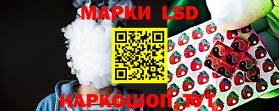 spice Заволжье