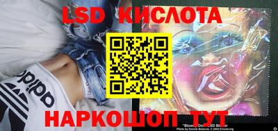spice Заволжье