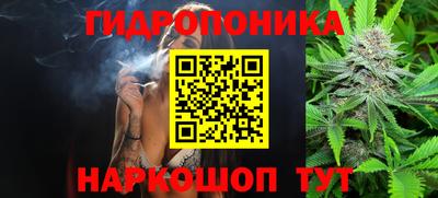 spice Заволжье