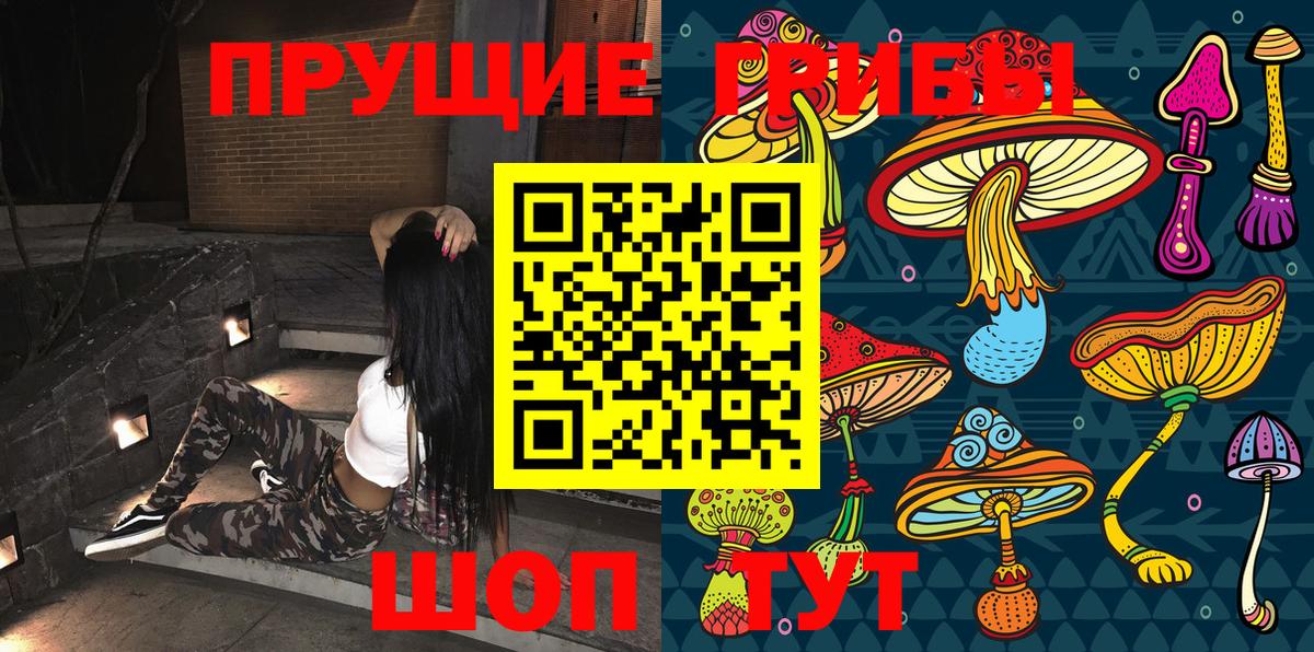 Псилоцибиновые грибы GOLDEN TEACHER Магадан