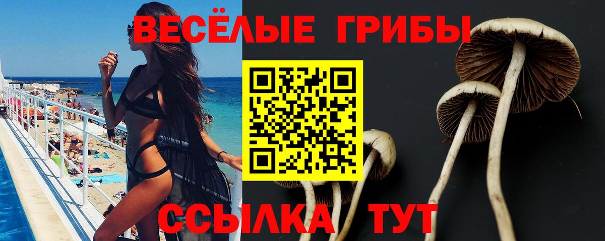 Магадан  Галлюциногенные грибы MAGIC MUSHROOMS  Вход с VPN 